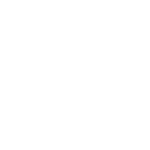 Memoriya Frames Store